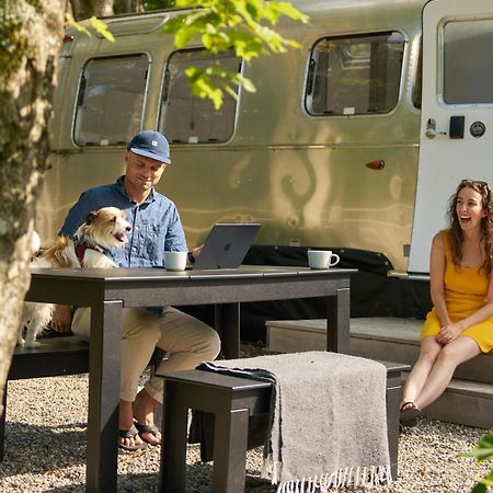 סוגרטיס Autocamp Catskills מראה חיצוני תמונה