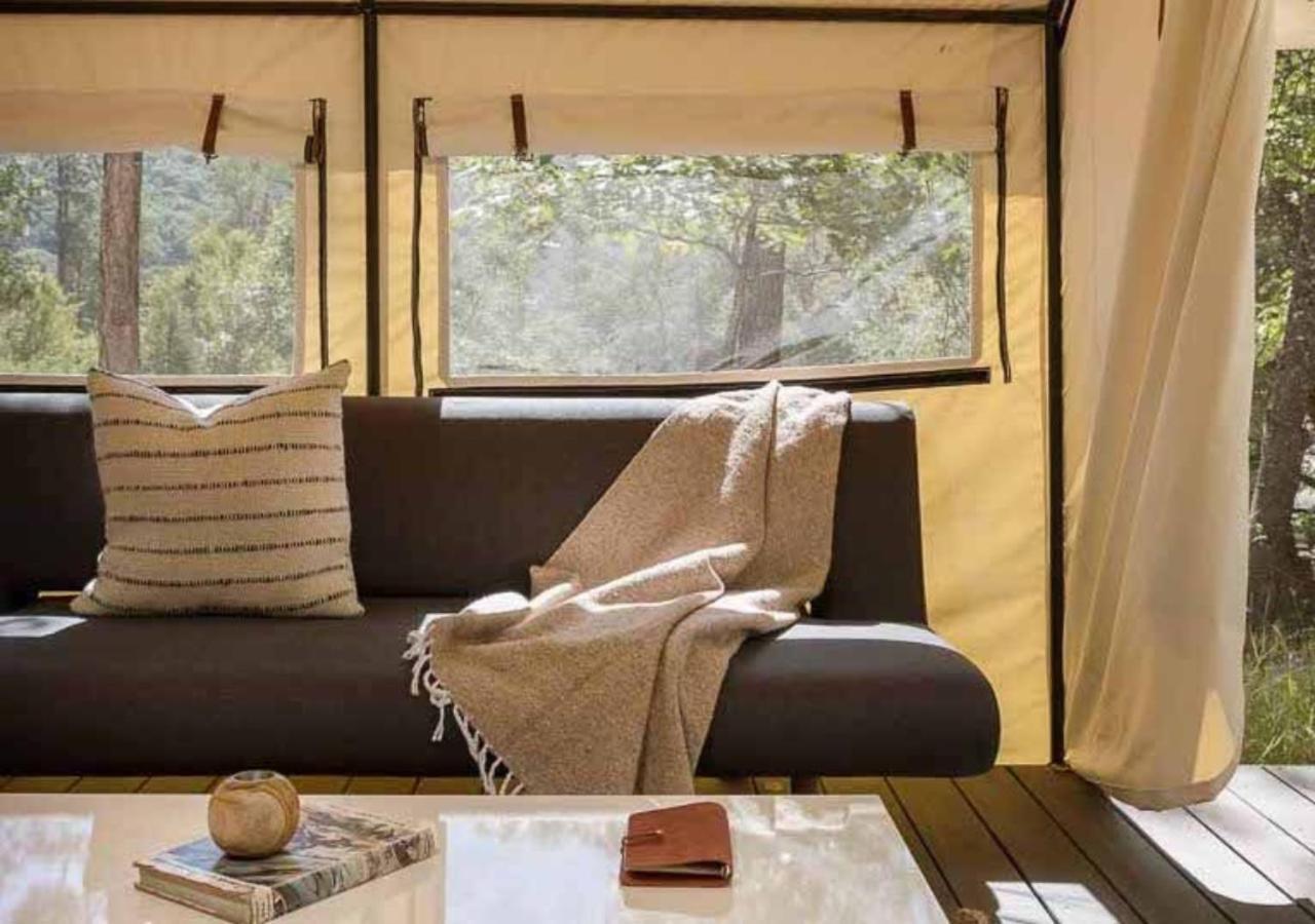 סוגרטיס Autocamp Catskills מראה חיצוני תמונה